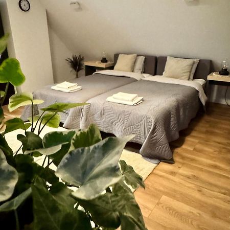 Apartamenty Astor - Ksiezycowy Szczawno-Zdroj Exteriér fotografie